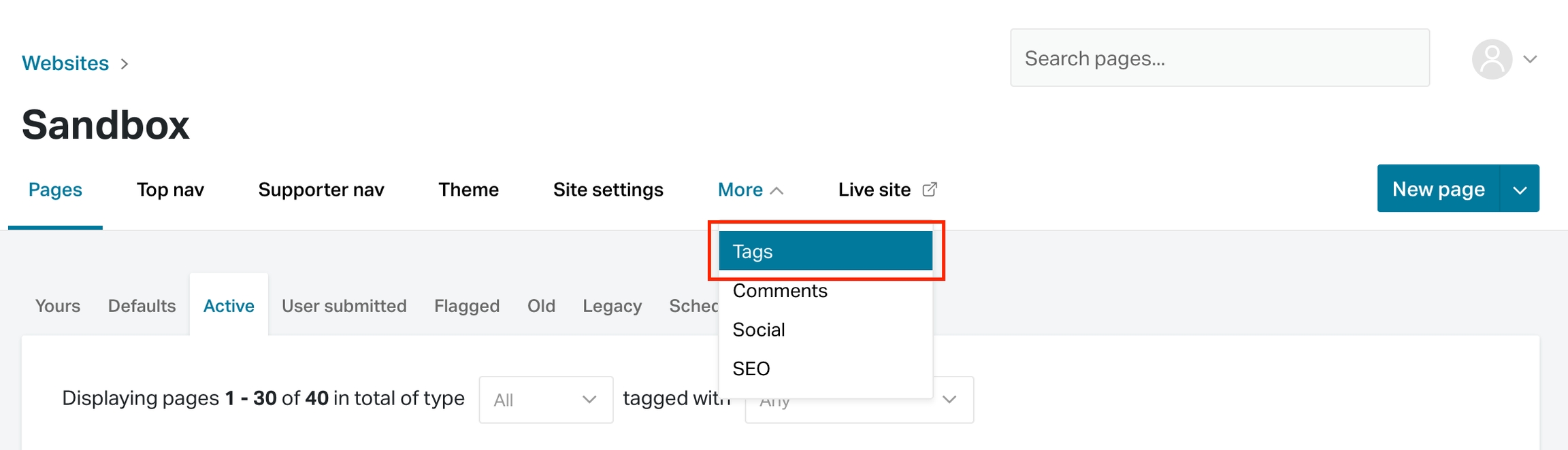 How to navigate to the tags section in NationBuilder