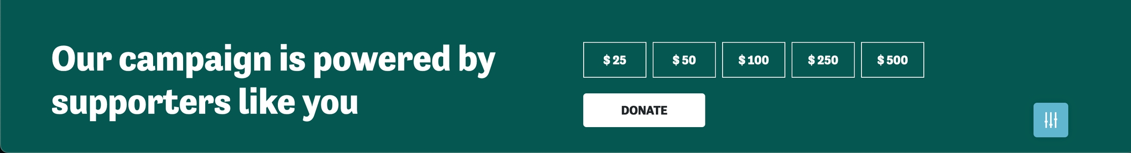 Donation Panel Example